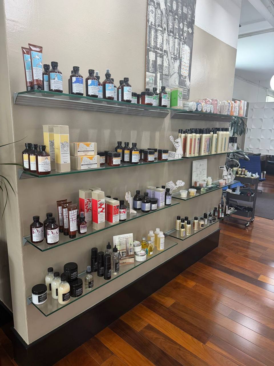 Professional hair products displayed inside the salon